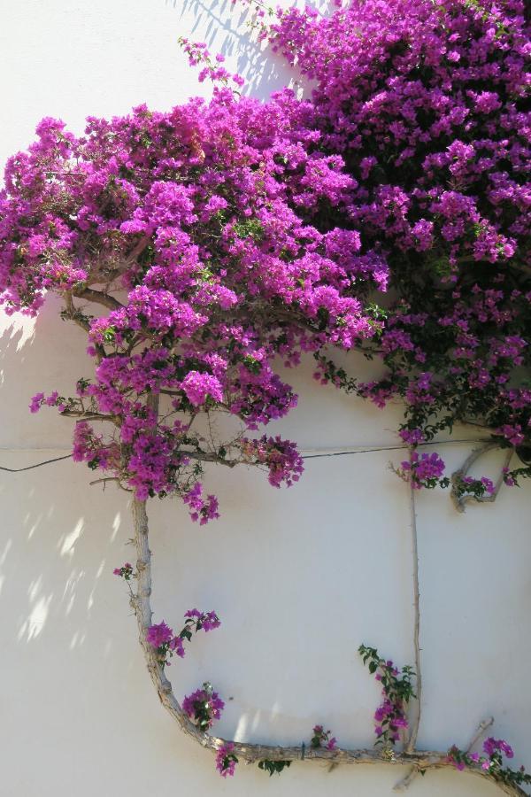 Las Rocas - Casa Diaz Roses Exterior foto